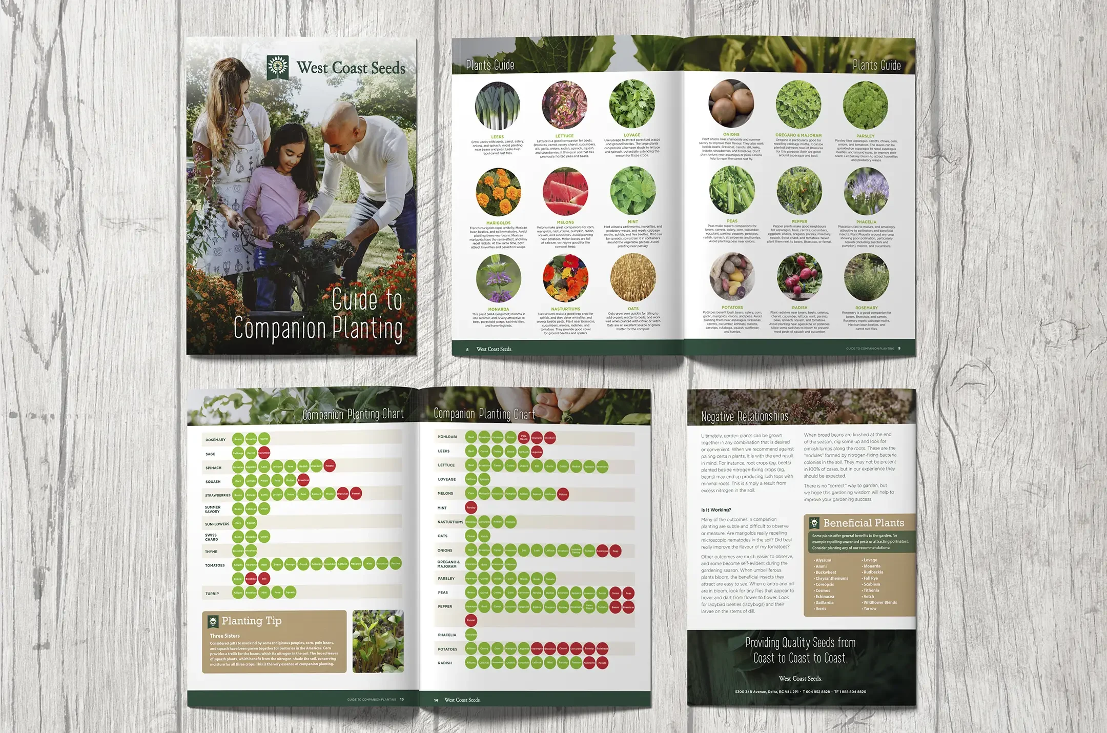 West Coast Seeds companion planting guide