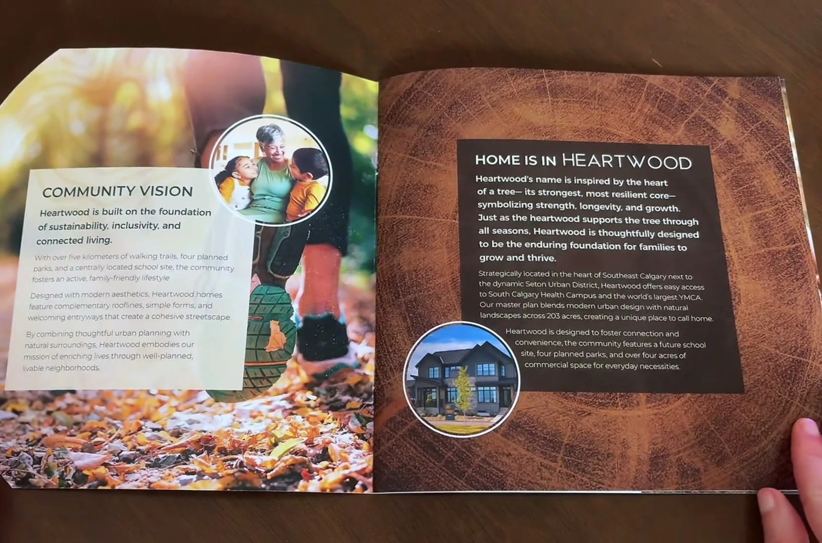 Heartwood brochure film, designed for Rohit